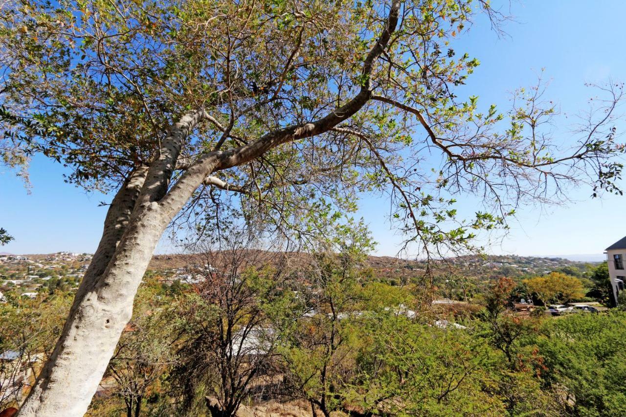Herzinger Boutique Guesthouse Klein Windhoek Eksteriør bilde